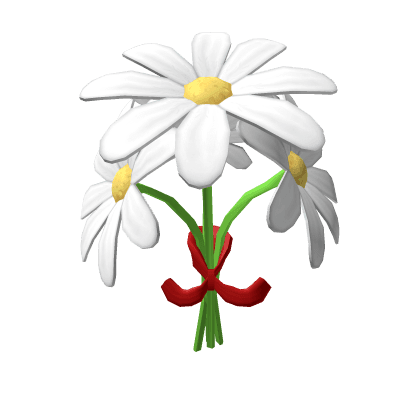 Daisy bouquet
