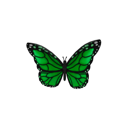Green Forehead Butterfly