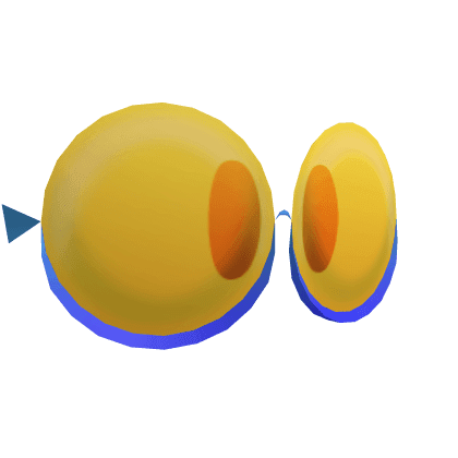 Sizeable Spectacles: Shocking Star Fruit 