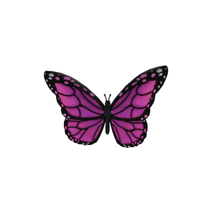 Pink Forehead butterfly