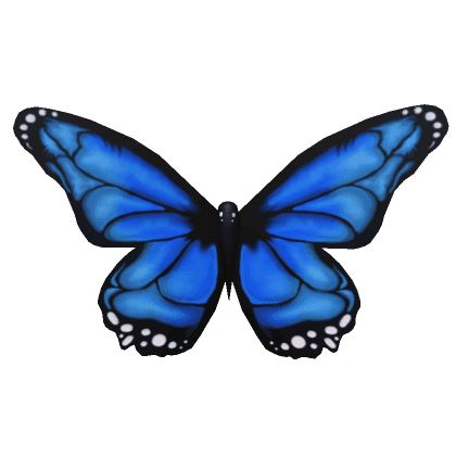 Giant Blue Butterfly Wings