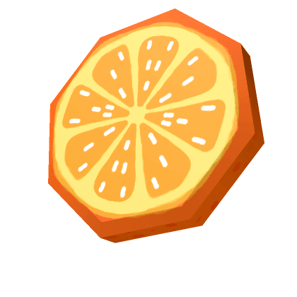 Citrus Orange Slice Snack