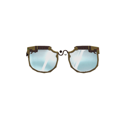 Taiji Bagua Glasses