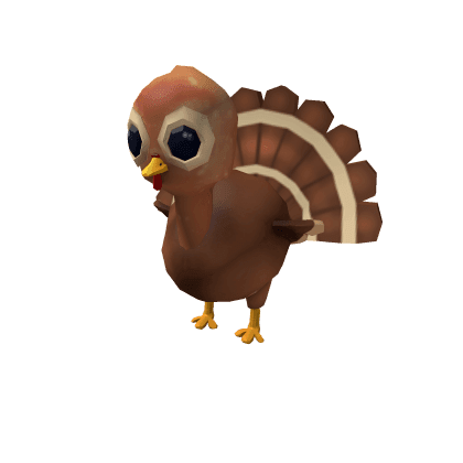 Unfriendly Turkey Friend