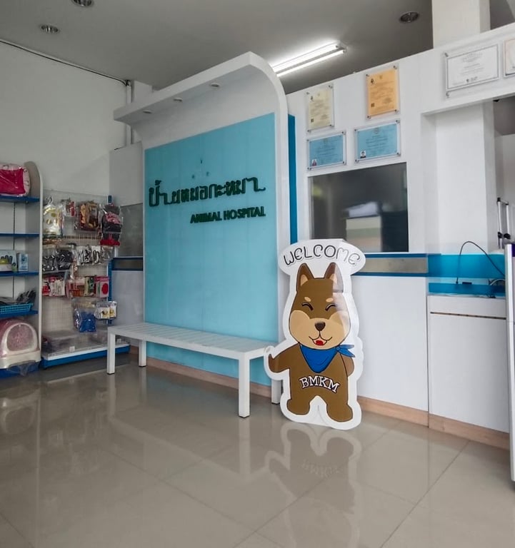 โรงพยาบาลสัตว์บ้านหมอกะหมา ศูนย์โรคผิวหนังสัตว์เลี้ยง : BMKM - Pet Skin Center (Official Location)