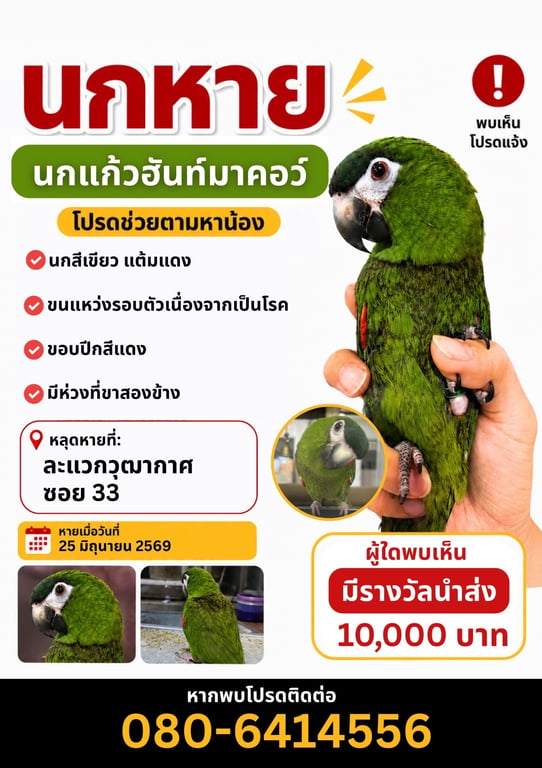 วิสดอม