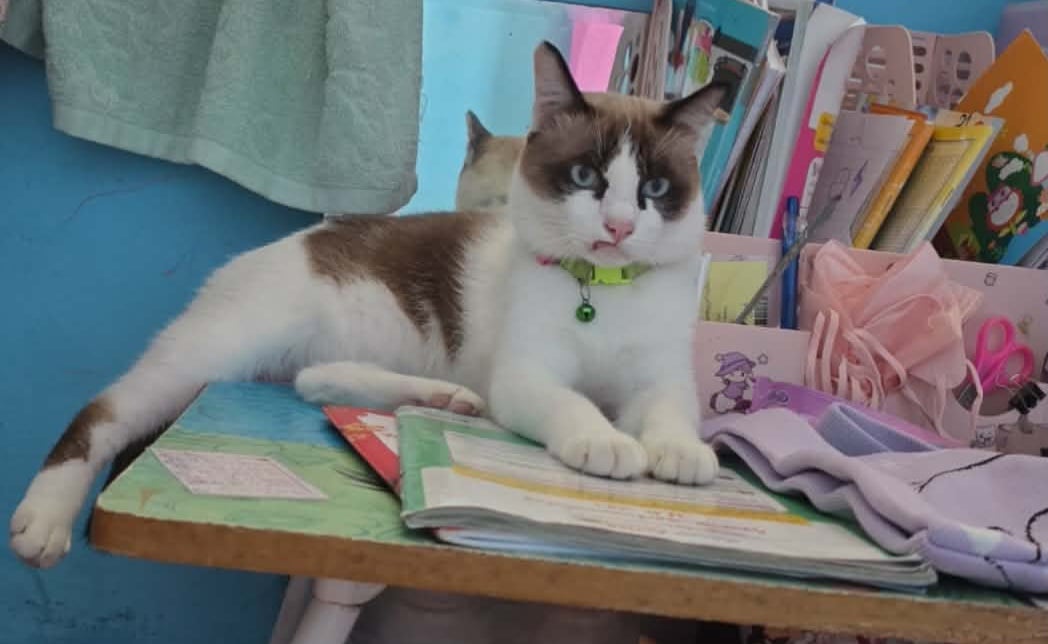 มีตังค์