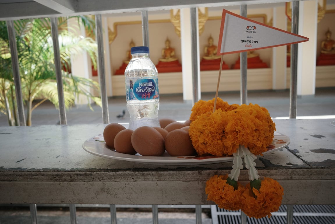 แก้บนที่วัดหลวงพ่อโสธร