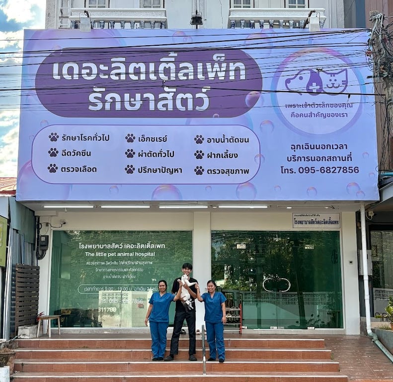เดอะลิตเติ้ลเพ็ท รักษาสัตว์