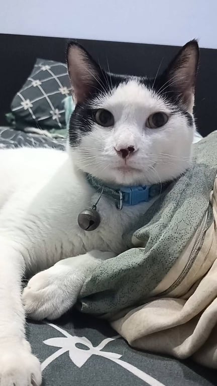 อาตี๋