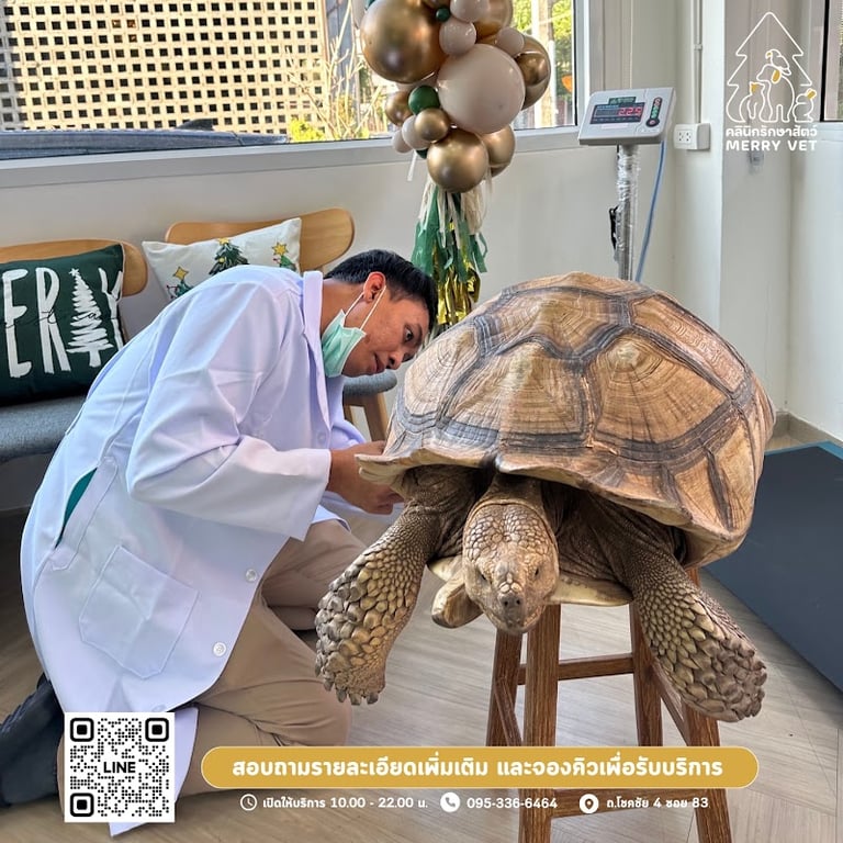 คลินิกรักษาสัตว์เมอร์รี่เว็ท Merry vet Clinic