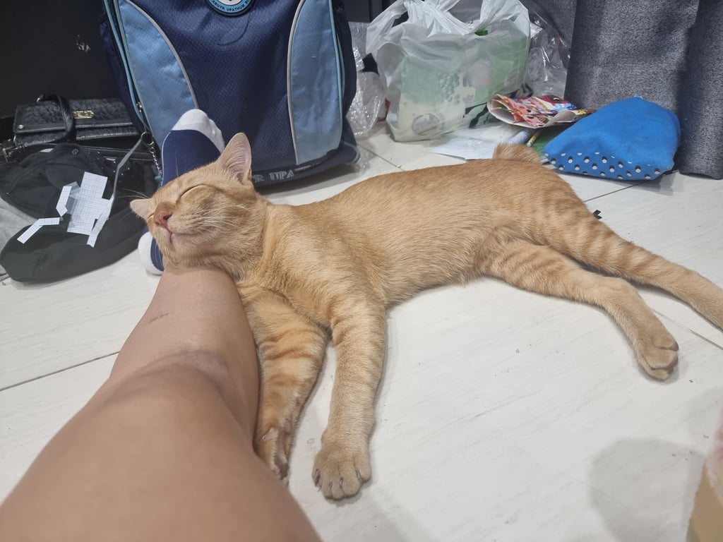 จิ๋วหลิว