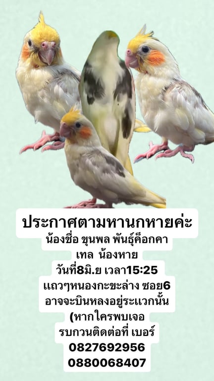 ขุนพล