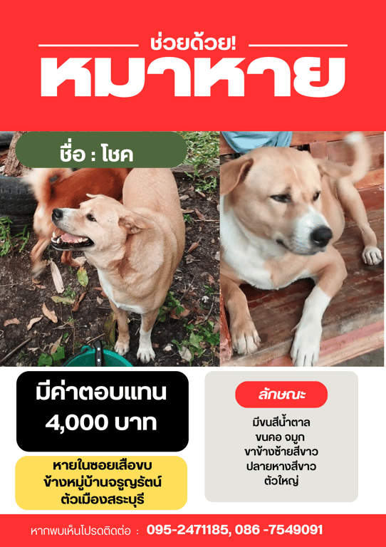 โชค