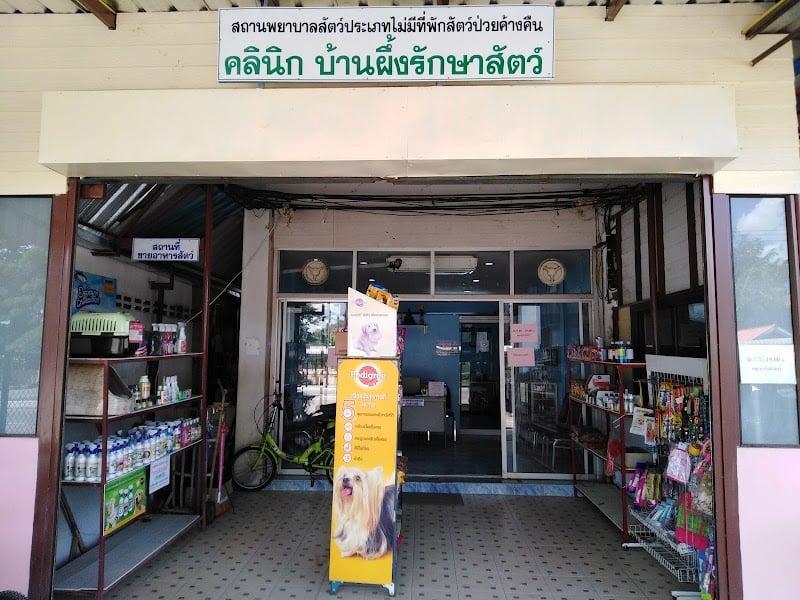 บ้านผึ้งรักษาสัตว์