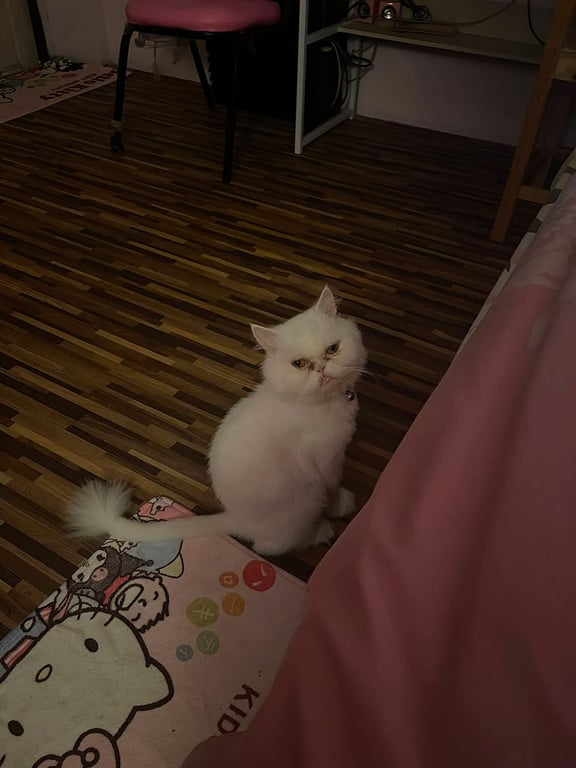 เล็ก