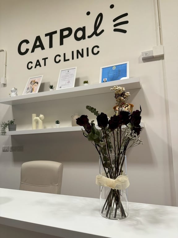 CATPAL CAT CLINIC AND HOTEL คลินิกแมวและโรงแรมแมวแคทพอล