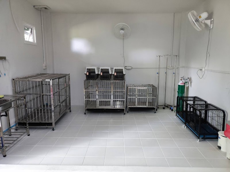 วีเอสซี รักษาสัตว์ VSC pet clinic