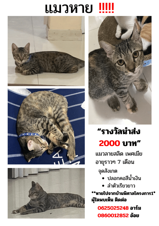 น้องน้ำหนาว(ที่บ้านเรียกสลิด)