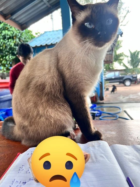 เจ้าคุณ