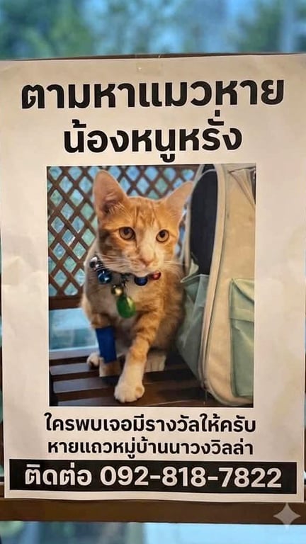 หนูหรั่ง