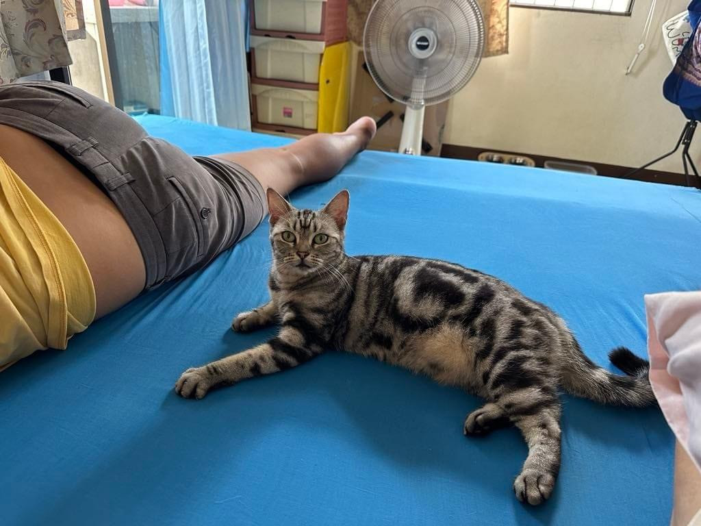 ทูน่า