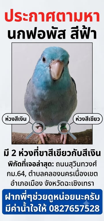 ฟ้า (เพราะตัวสีฟ้า)