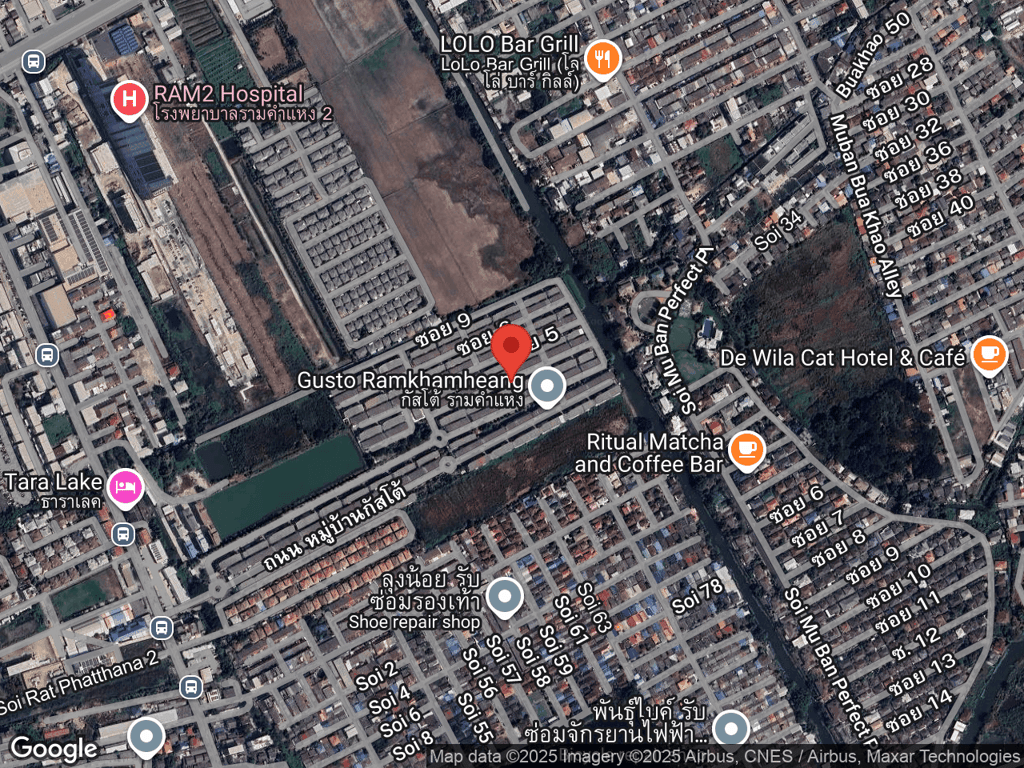 สถานที่หายของฟาโร