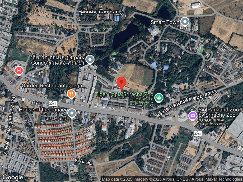 สถานที่หายของถุงเท้า