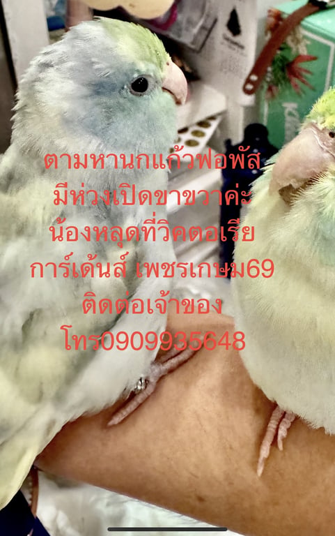 มันนั้