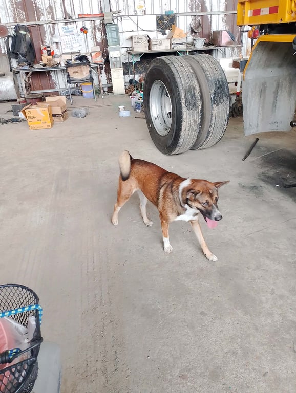 ถัง
