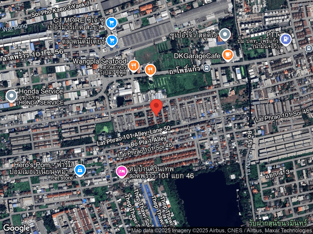 สถานที่หายของการ์ไฟต์