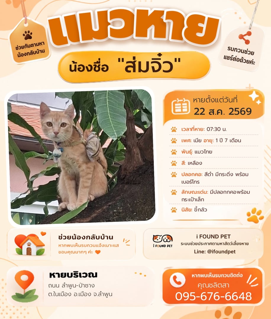 ส่มจิ๋ว