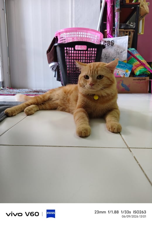 ซีม่อน