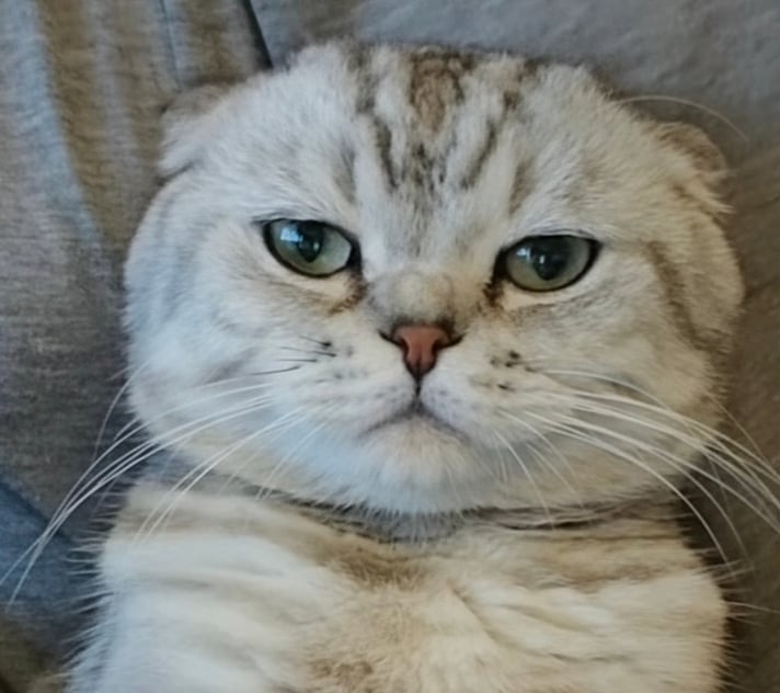 มาร์เบิ้ล