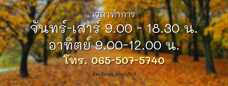 บ้านรังนก รักษาสัตว์