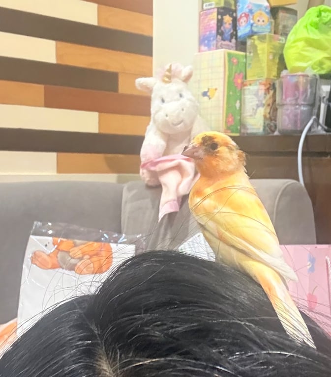 ทองหยิบ