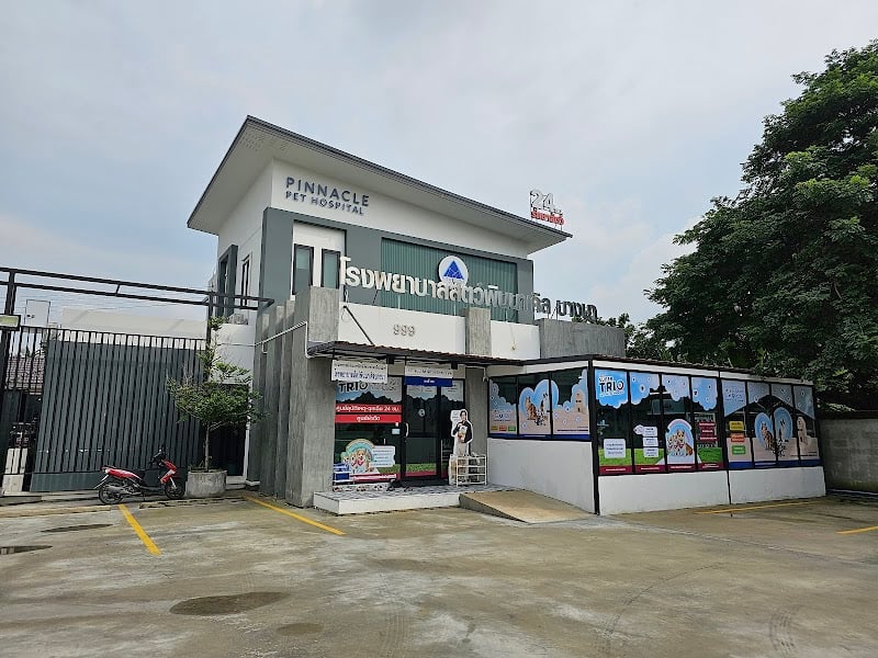 โรงพยาบาลสัตว์ พินนาเคิล บางนา 24 ชั่วโมง