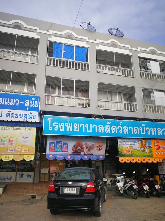ลาดบัวหลวงรักษาสัตว์