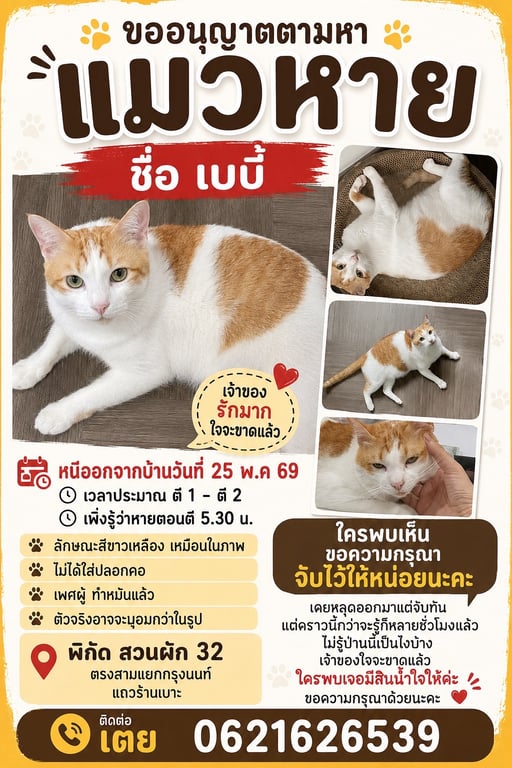 เบบี๋
