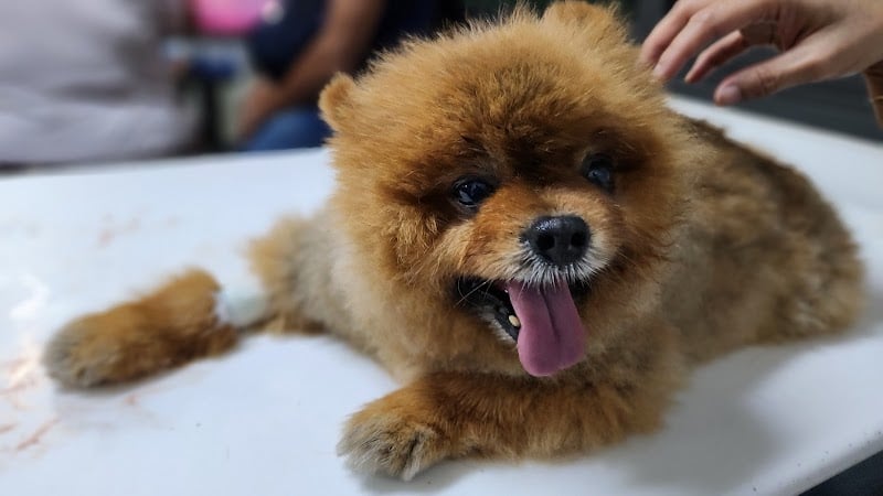 คลินิก หมอปาน