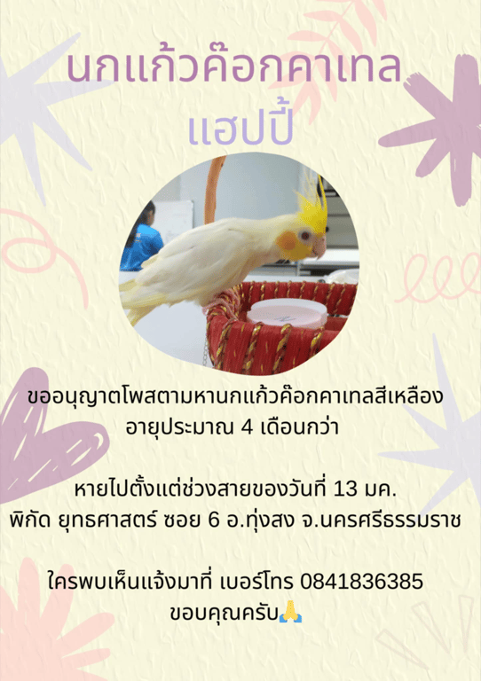 happy แฮปปี้