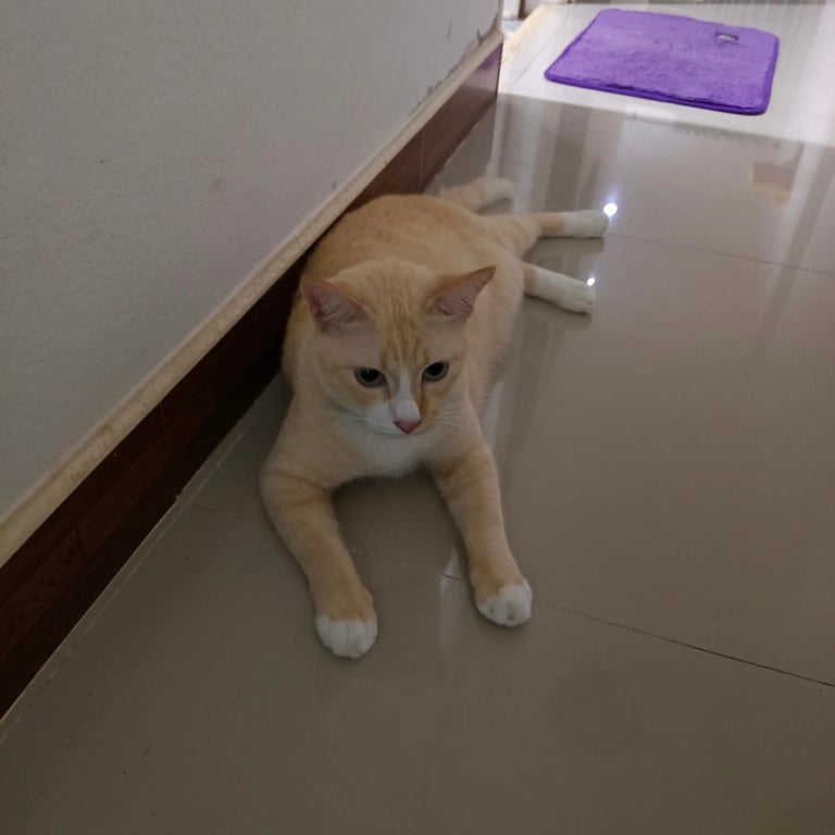 ตัวเล็ก