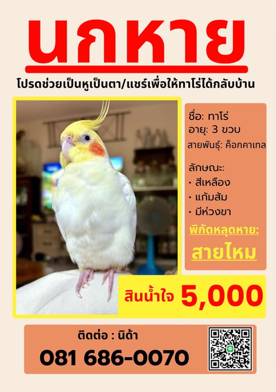 ทาโร่