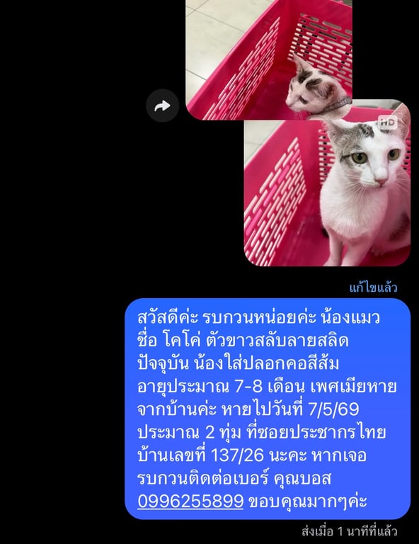 โคโค่