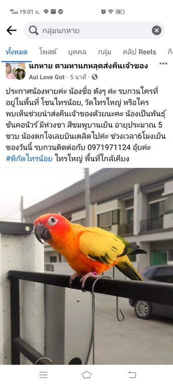 ตังๆ