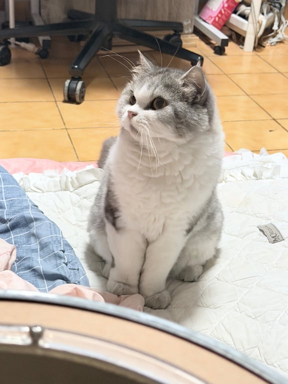 อูนิ