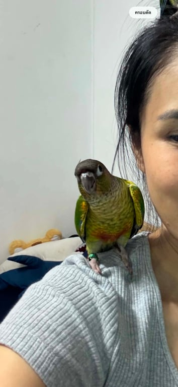 หนูเเจ๋ว