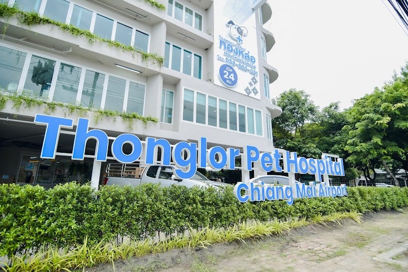 โรงพยาบาลสัตว์ทองหล่อ เชียงใหม่แอร์พอร์ต