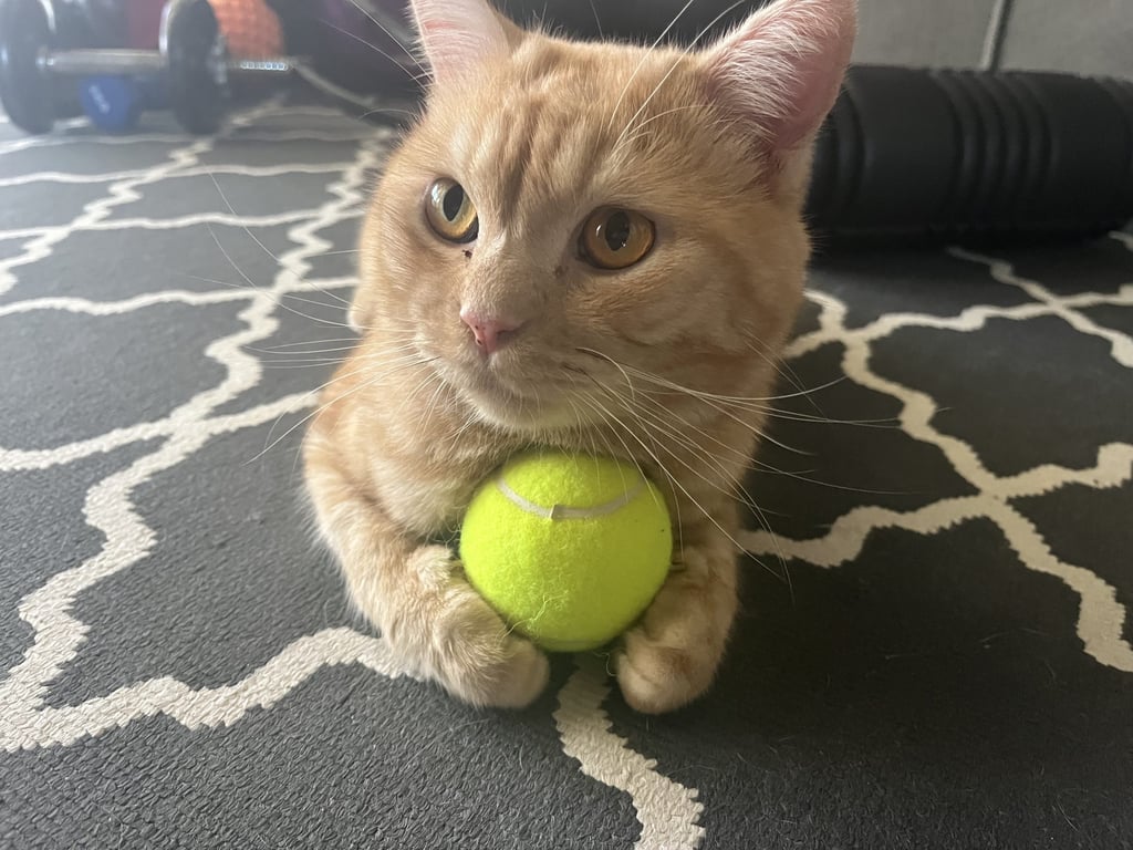 Buster